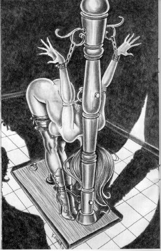 15P evil bondage device drawings