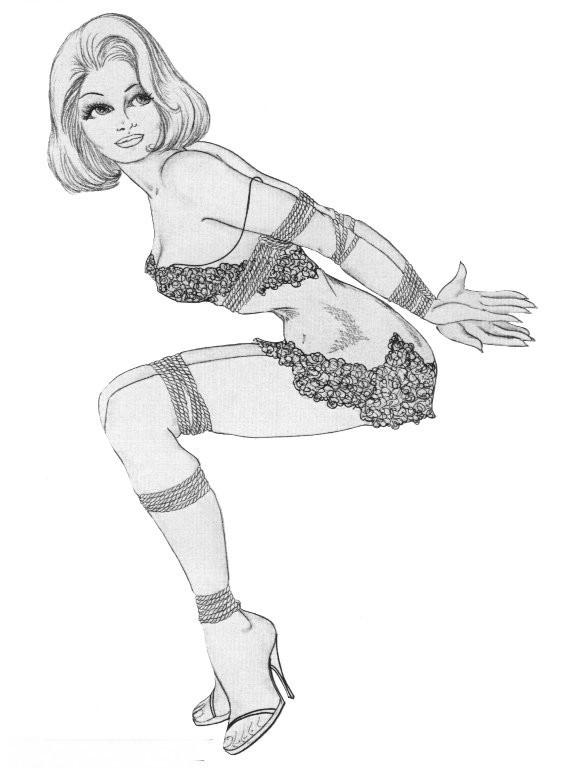 15P beautiful female bondage art