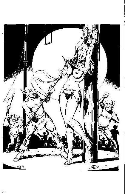15P beautiful female bondage art