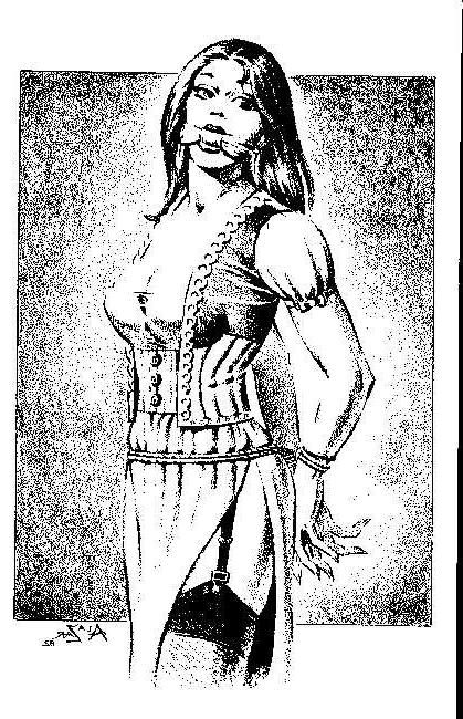 15P beautiful female bondage art