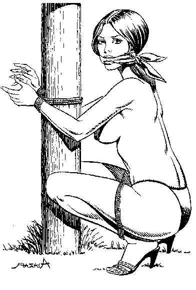 15P beautiful female bondage art