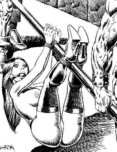 15P beautiful female bondage art