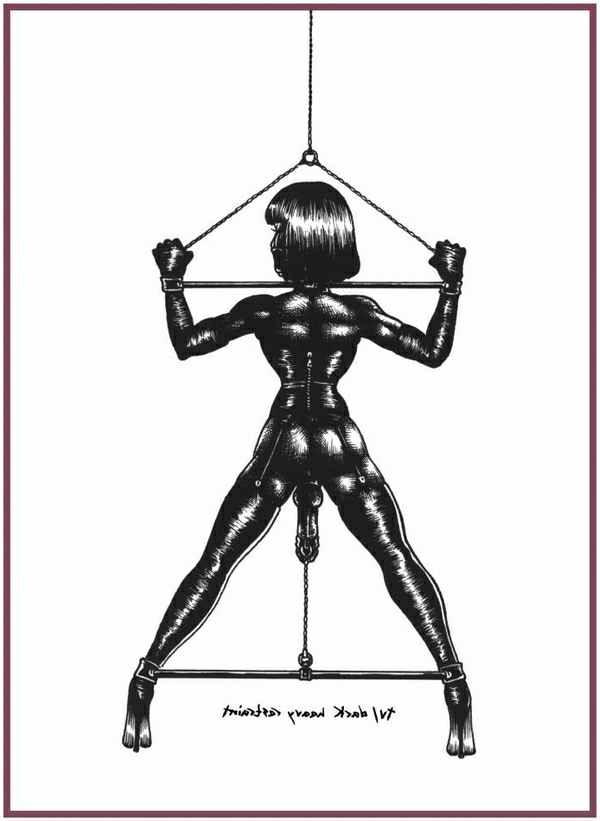 15P bizarre sexual fetish art
