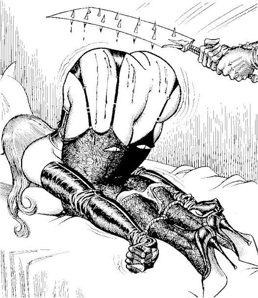 15P Wards vintage bdsm art