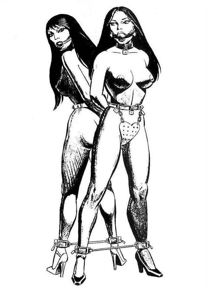 16P classic bondage art