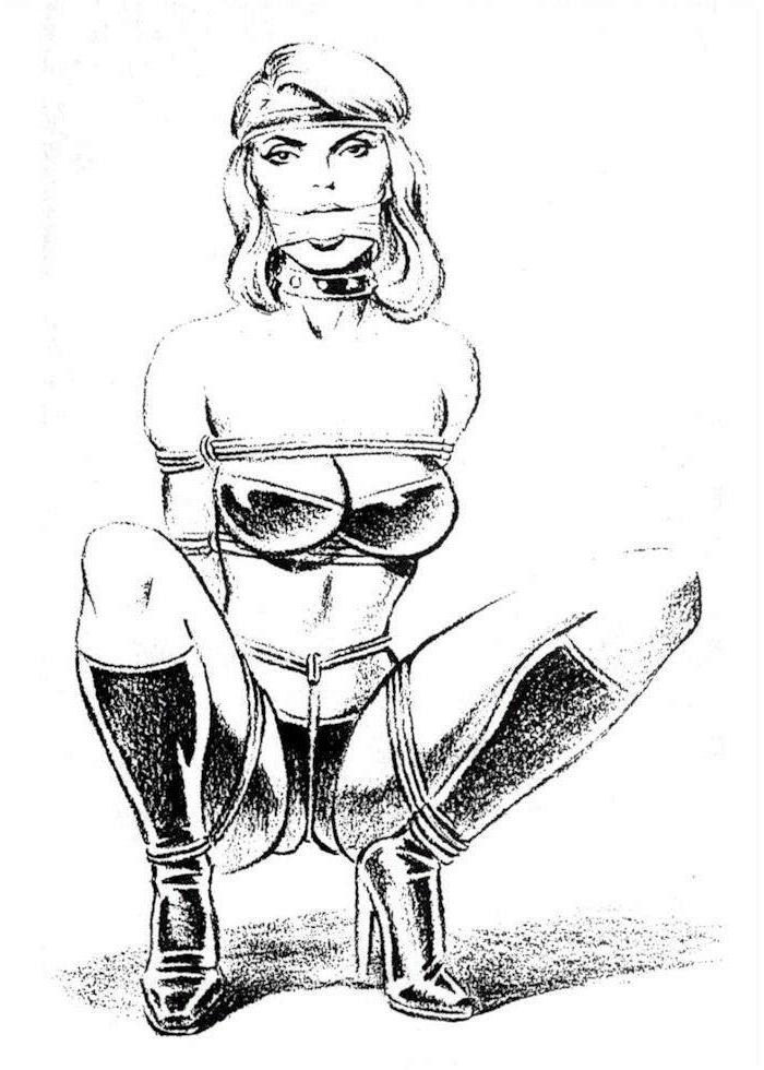16P classic bondage art