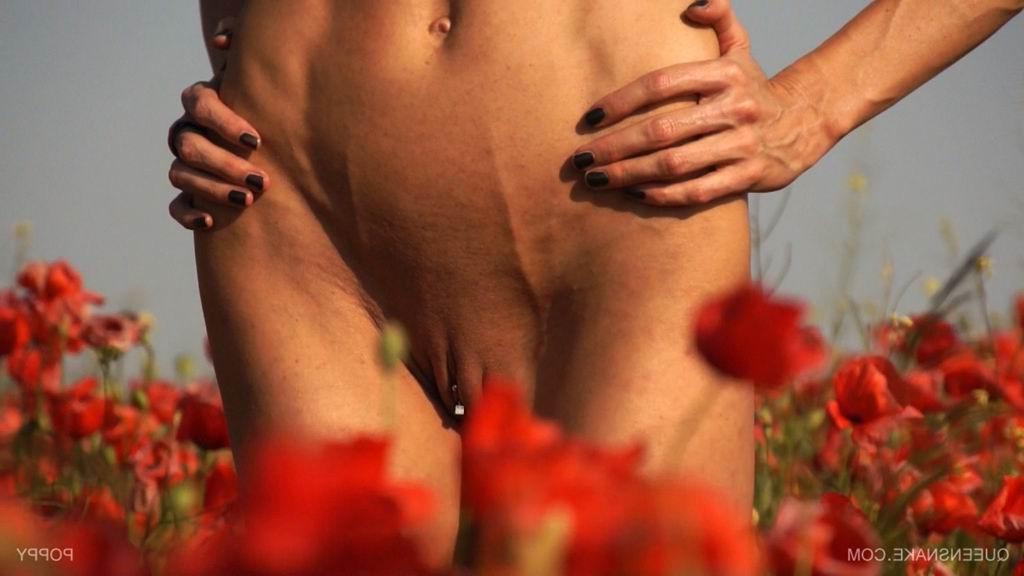 16P bizarre pussy insertions