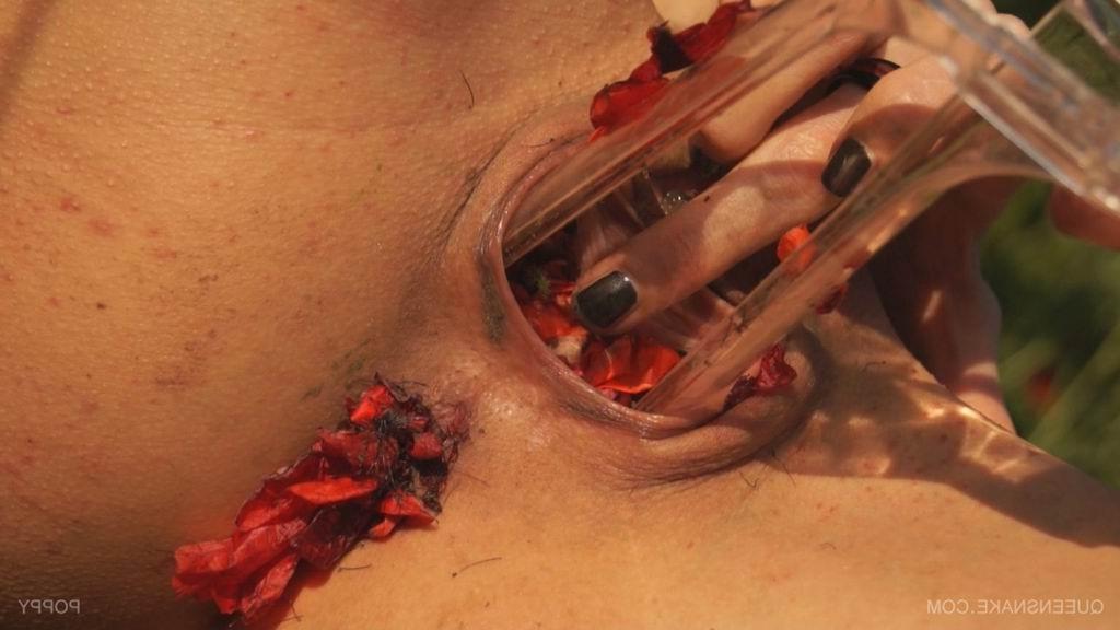 16P bizarre pussy insertions