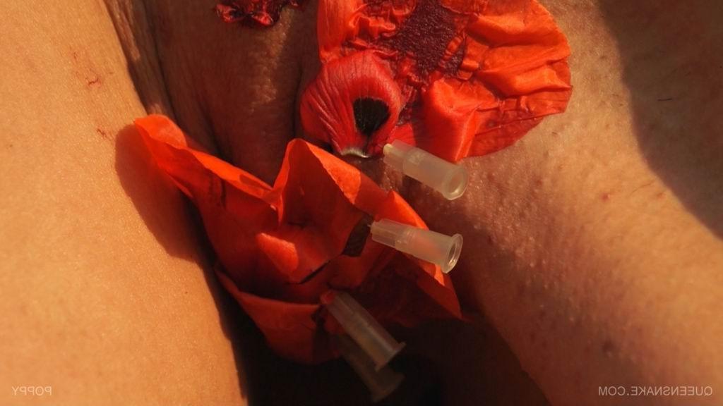 16P bizarre pussy insertions