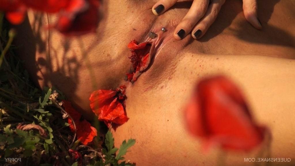 16P bizarre pussy insertions