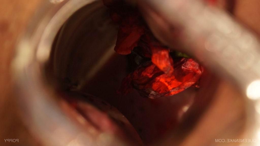 16P bizarre pussy insertions