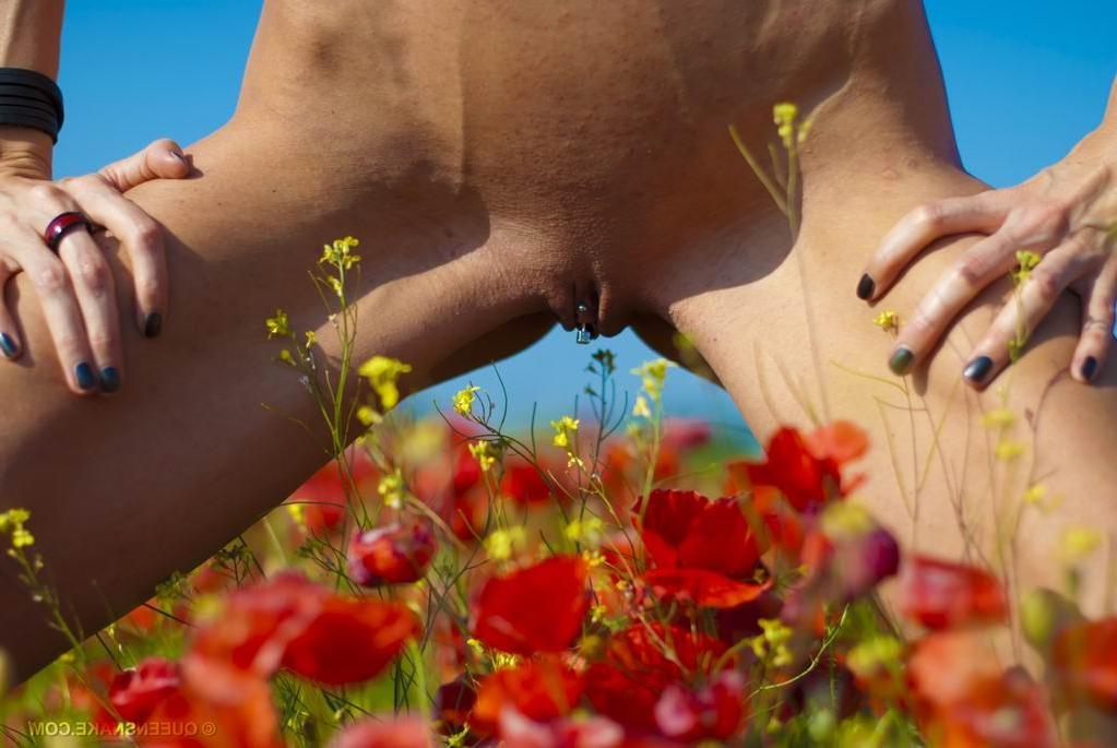 16P bizarre pussy insertions