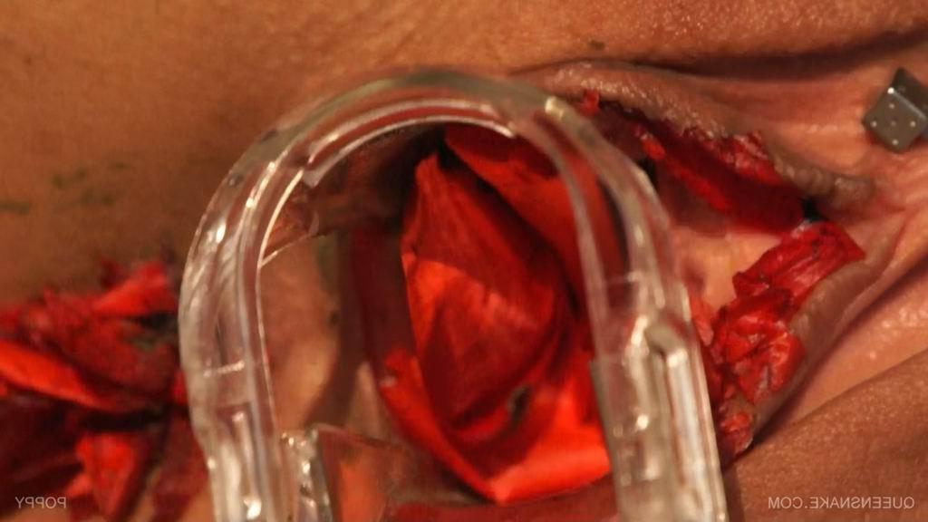 16P bizarre pussy insertions