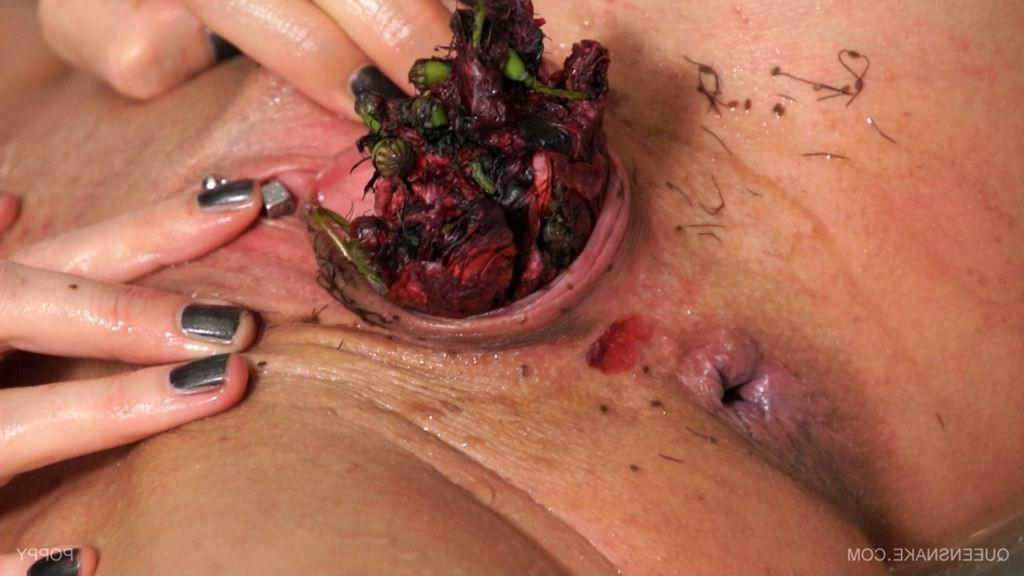 16P bizarre pussy insertions