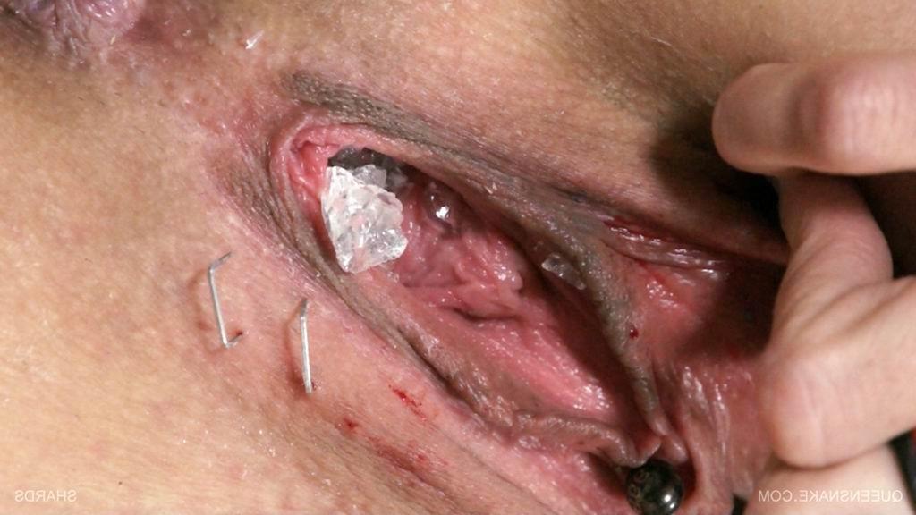 10P bizarre pussy insertions
