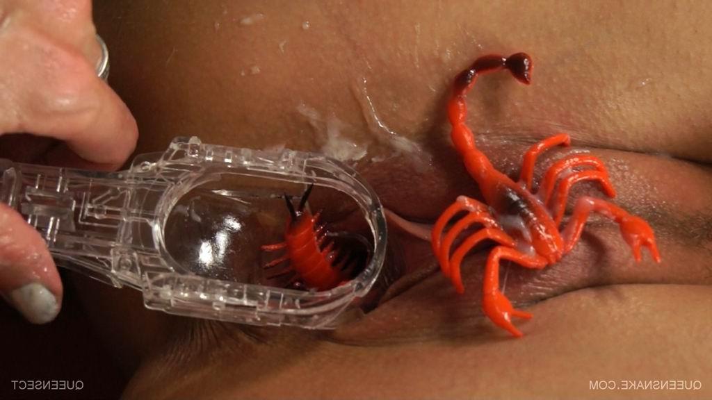 15P extreme bizarre pussy insertions