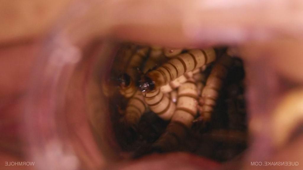 16P extreme und bizarre vaginale Einführungen