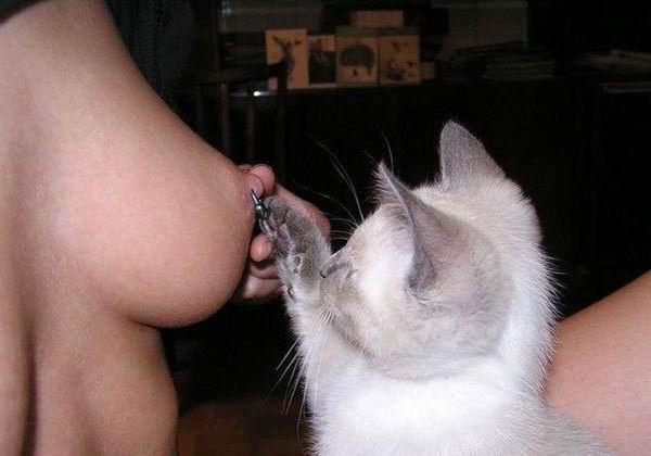 16P weird bizarre unusual and funny pictures