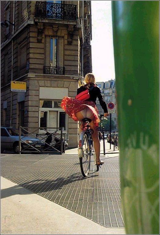 15P weird bizarre unusual and funny pictures