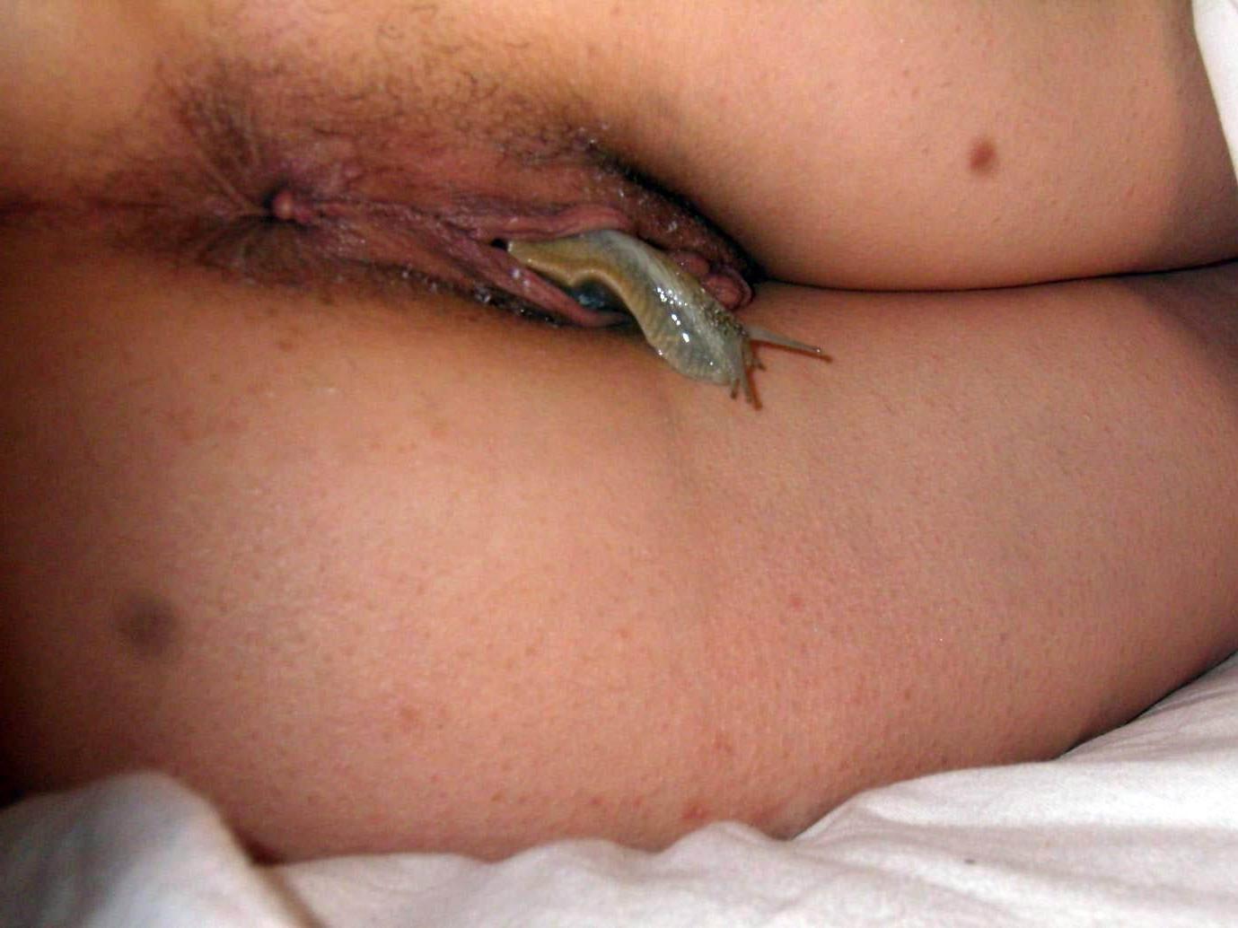 15P extreme amateur fisting and objects insertions