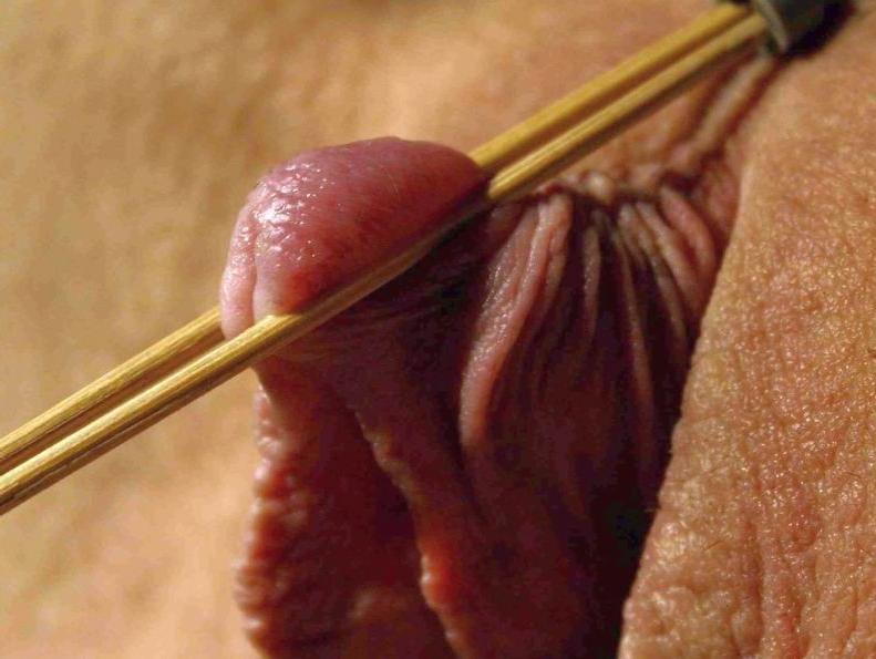 15P very huge pussylips and clitoris