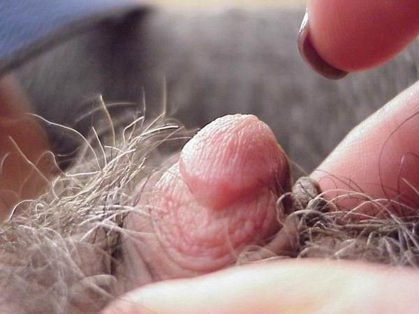 16P huge swollen meaty clits close ups