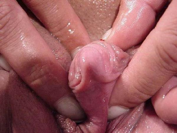 16P huge swollen meaty clits close ups