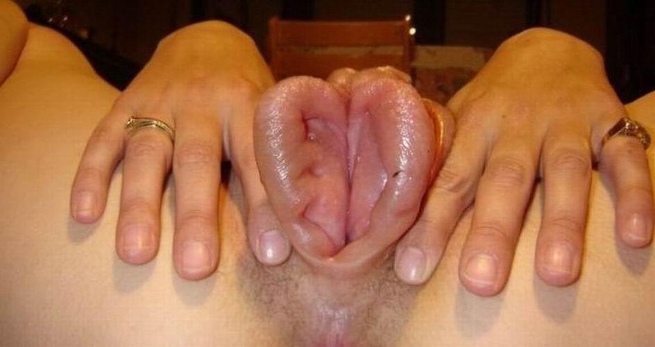 14P Extremely pumped pussies and boobs