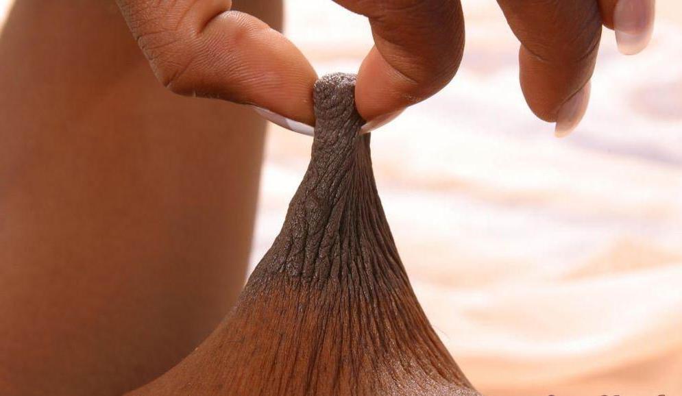 16P real huge nipples and areolas