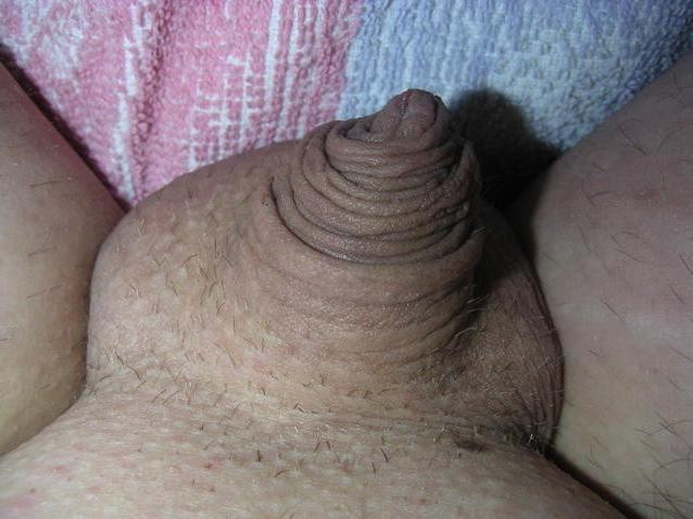 16P extremely small cocks