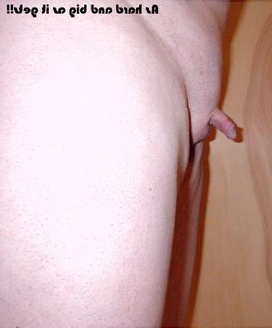 16P extremely small cocks