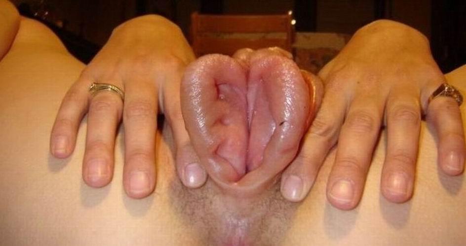 14P very extremely pumped and pierced pussy
