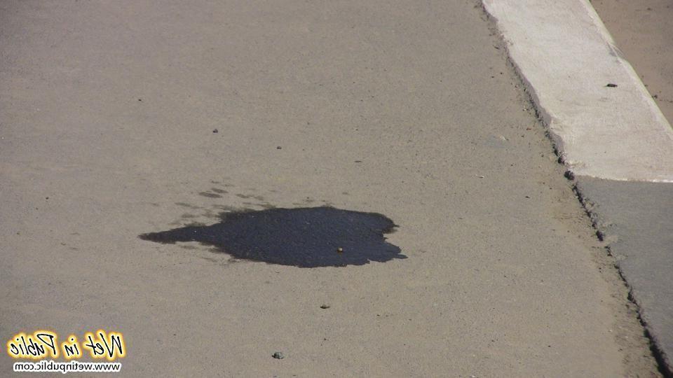 15P Busty bitch pissed herself on the road and then pulled off her jeans