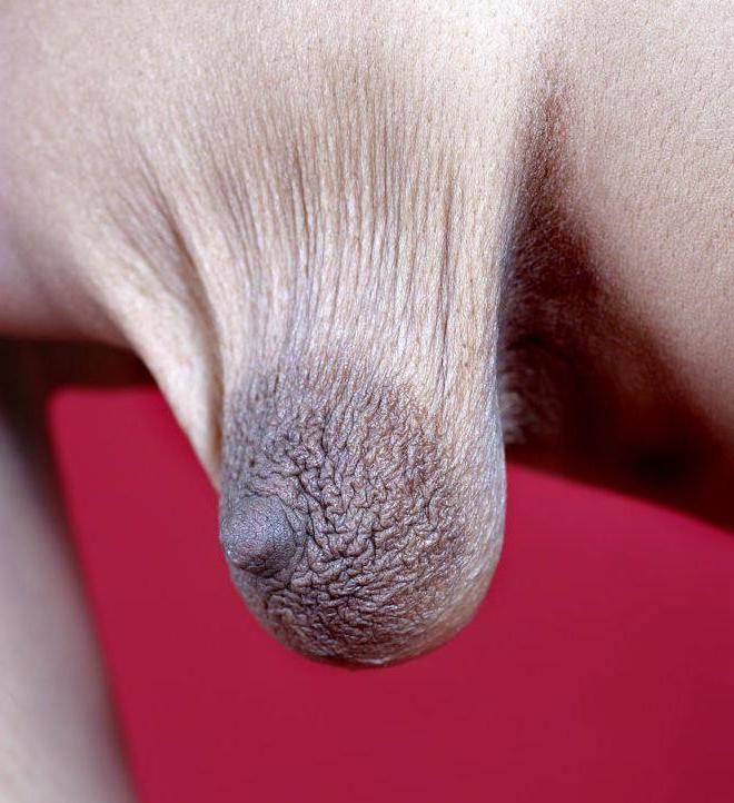 16P Ugly, weird shaped boobs
