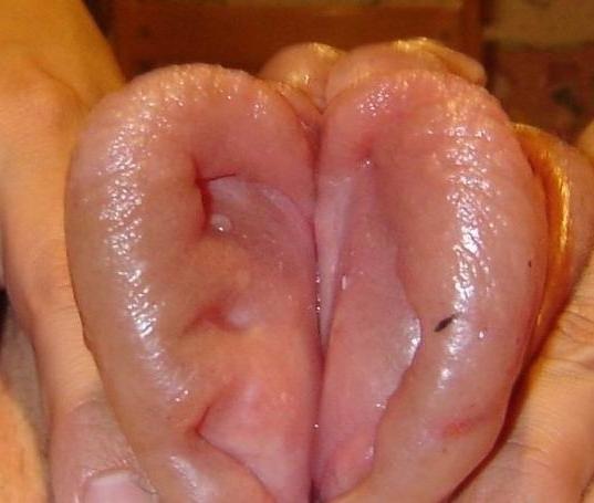 15P Very extremely pumped pussy