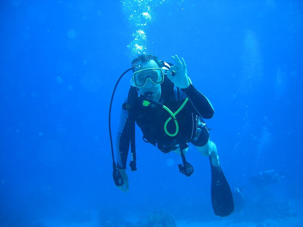 13P Diving