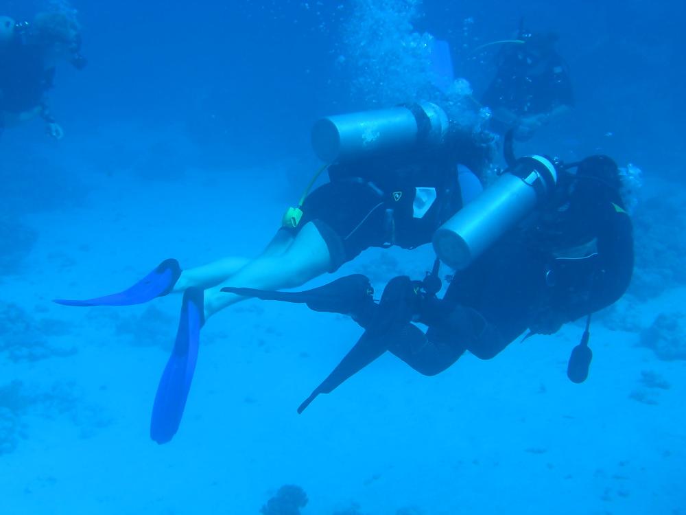 13P Diving