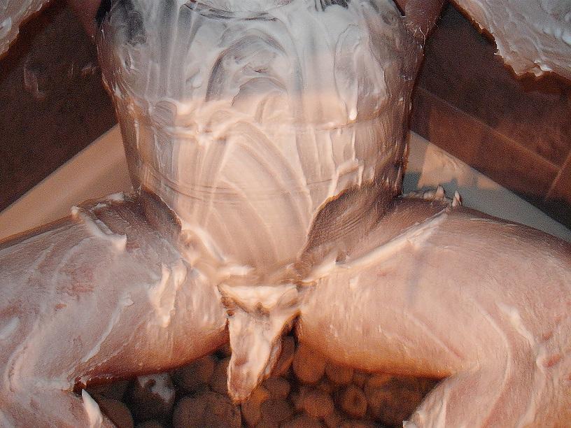 11P Play with shaving cream in swimsuit