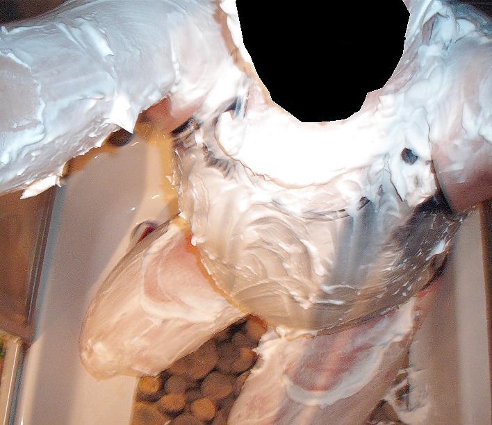 11P Play with shaving cream in swimsuit