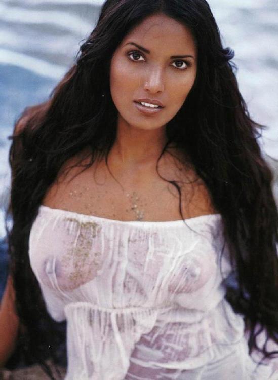 15P Padma Lakshmi juicy boobs in see through shirt