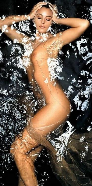 16P hollywood fuck siren monica belluci naked and topless