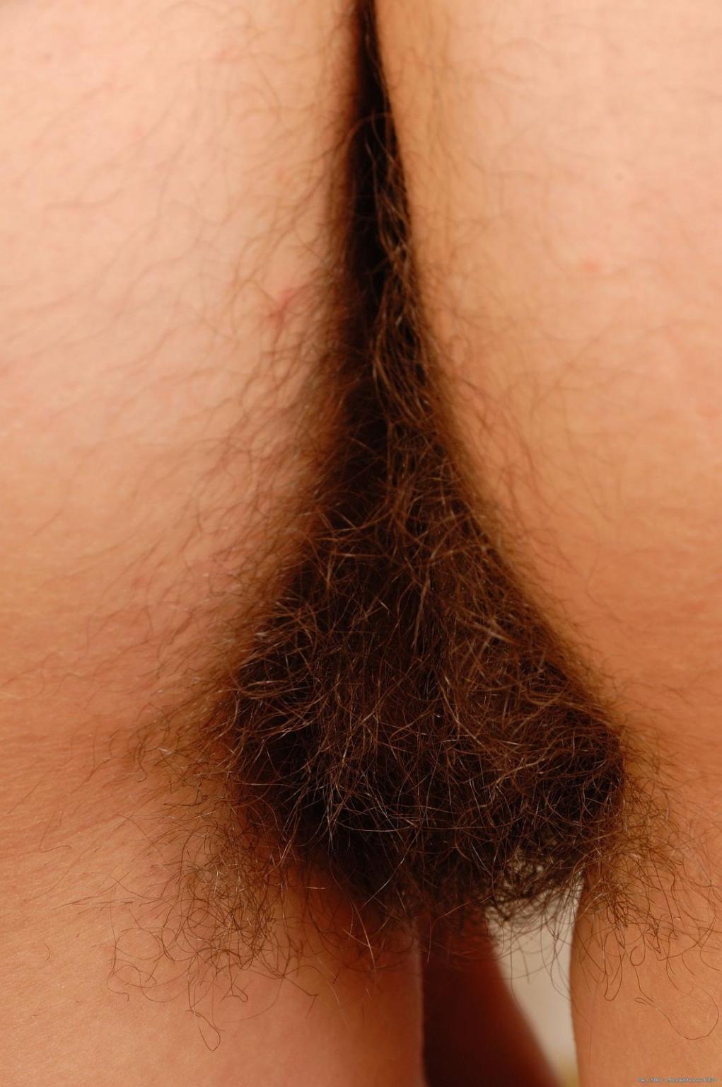 15P Hairy natural babe Vendula spreading snatch