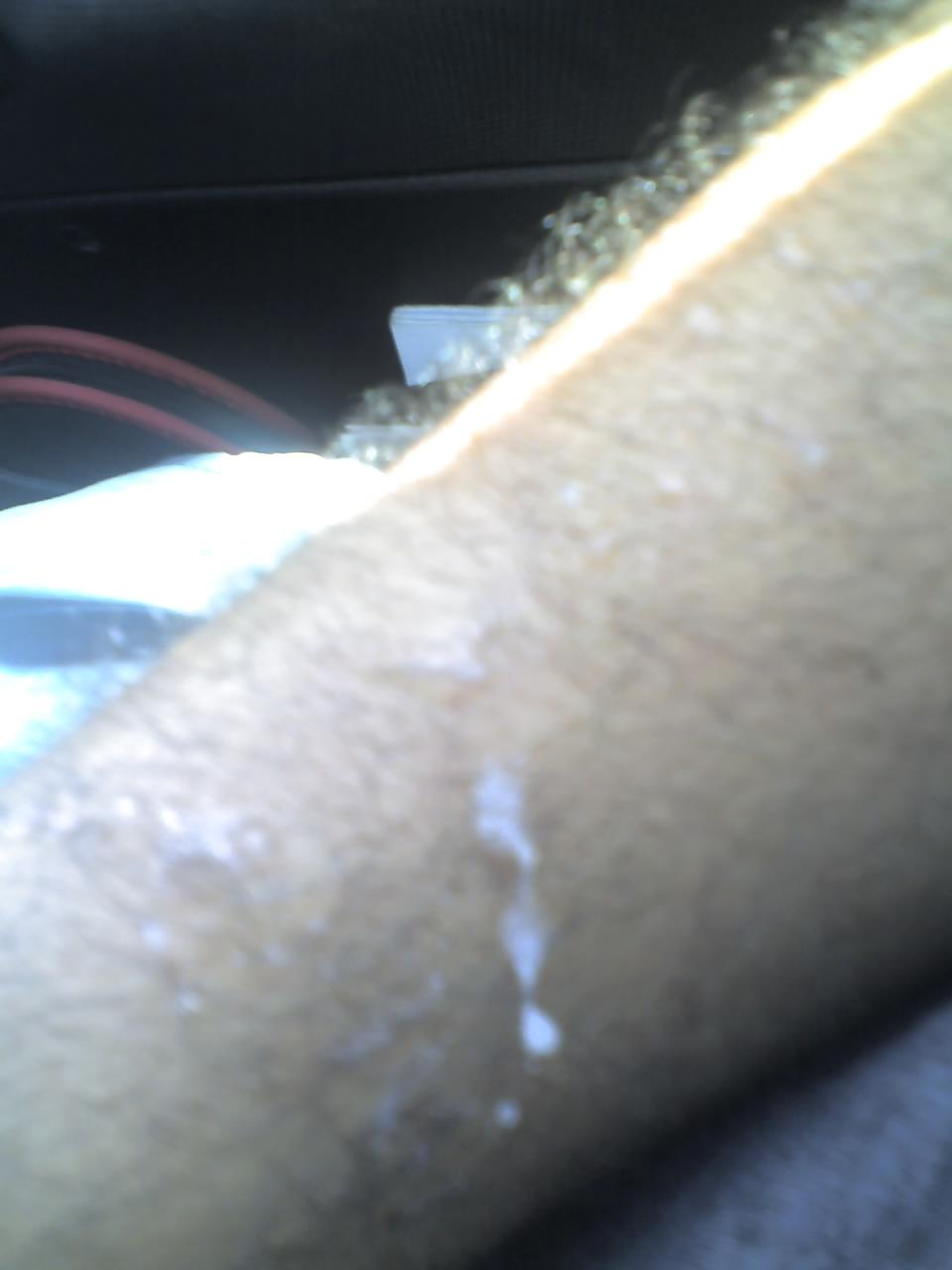 8P A Little fun in public