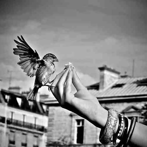 21P Art and beauty
