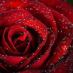 21P Art and beauty