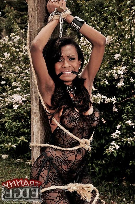 15P Tranny Tied To a Tree