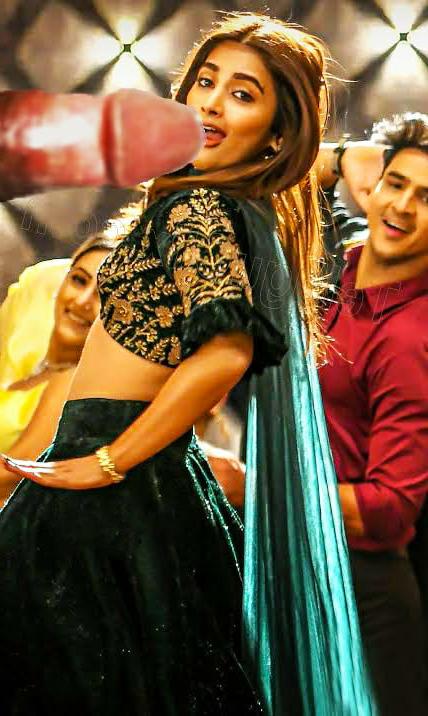 25P Pooja Hedge Voluptuous Queen