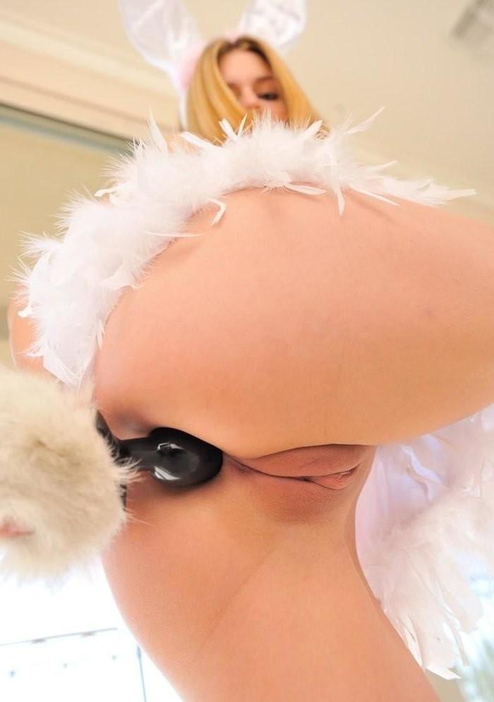 25P Cute Critters With Tails