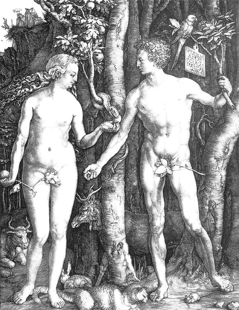 25P Drawn Ero and Porn Art 35 - Albrecht Duerer