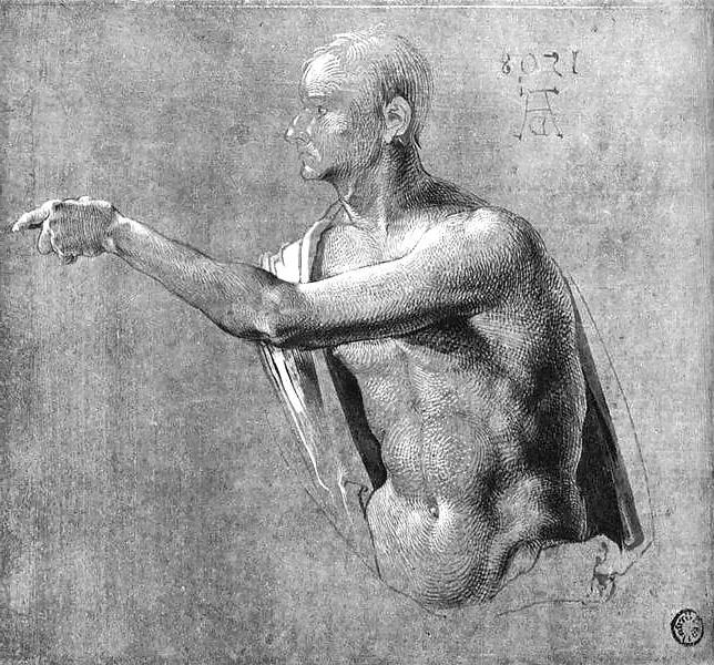 25P Drawn Ero and Porn Art 35 - Albrecht Duerer